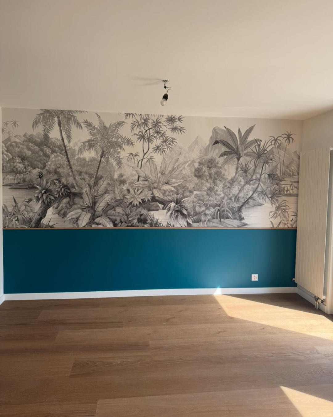 Placo & peinture Pays de Gex : salon murs et plafonds finition velours par CHIC’ O DÉCO